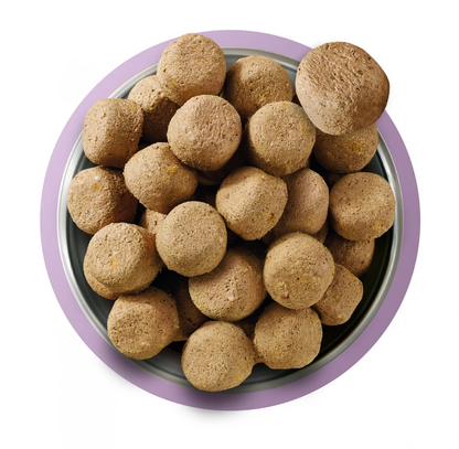 Natures Menu Freeze Dried 80/20 Turkey 250g
