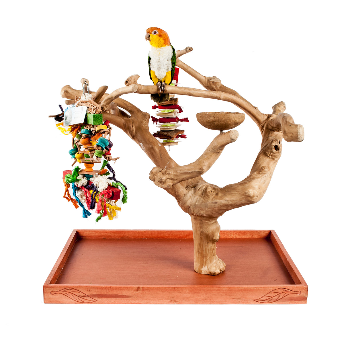 Java Ini Tree Java Mini Tree Medium Natural Wood Parrot Stand – Wundapets