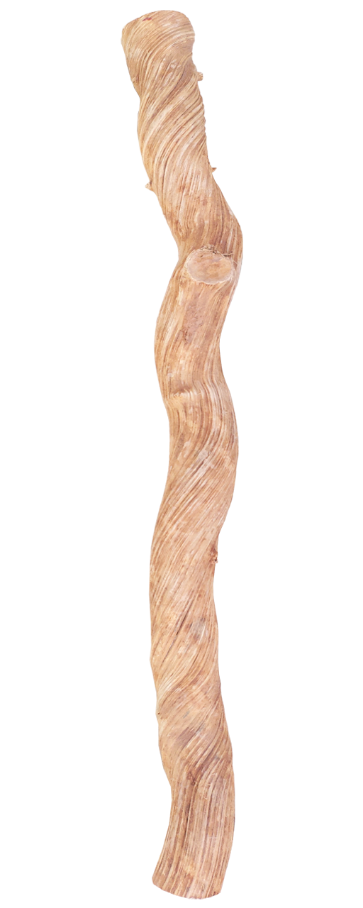 Java Liana Vine Perch 30-40cm Large