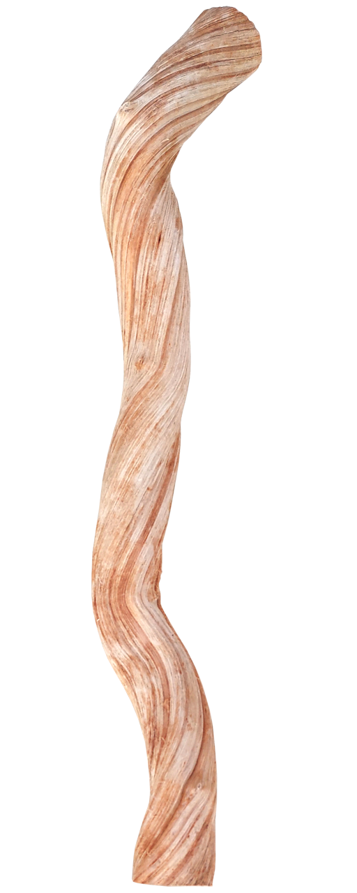 Java Liana Vine Perch 20-30cm Medium