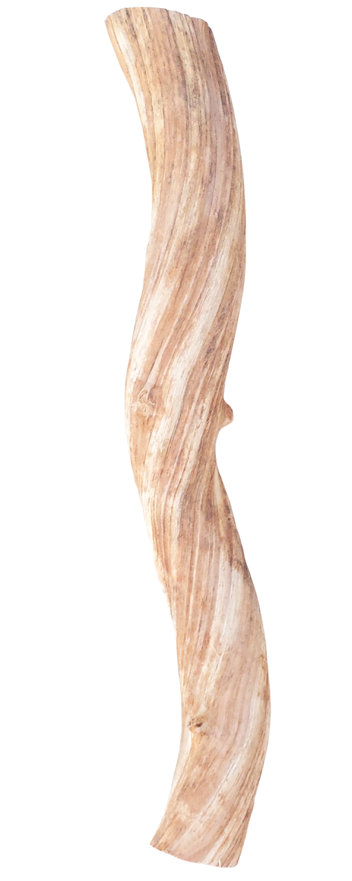 Java Liana Vine Perch 15-20cm Small