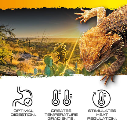 Exo Terra Heat Mat 4w 18 x 10cm