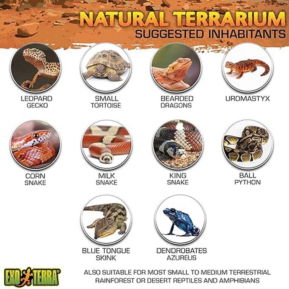 Exo Terra Wide Nano Glass Terrarium 8" x 8" x 8"