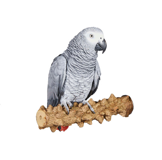 Adventure Bound Pepper Branch Large