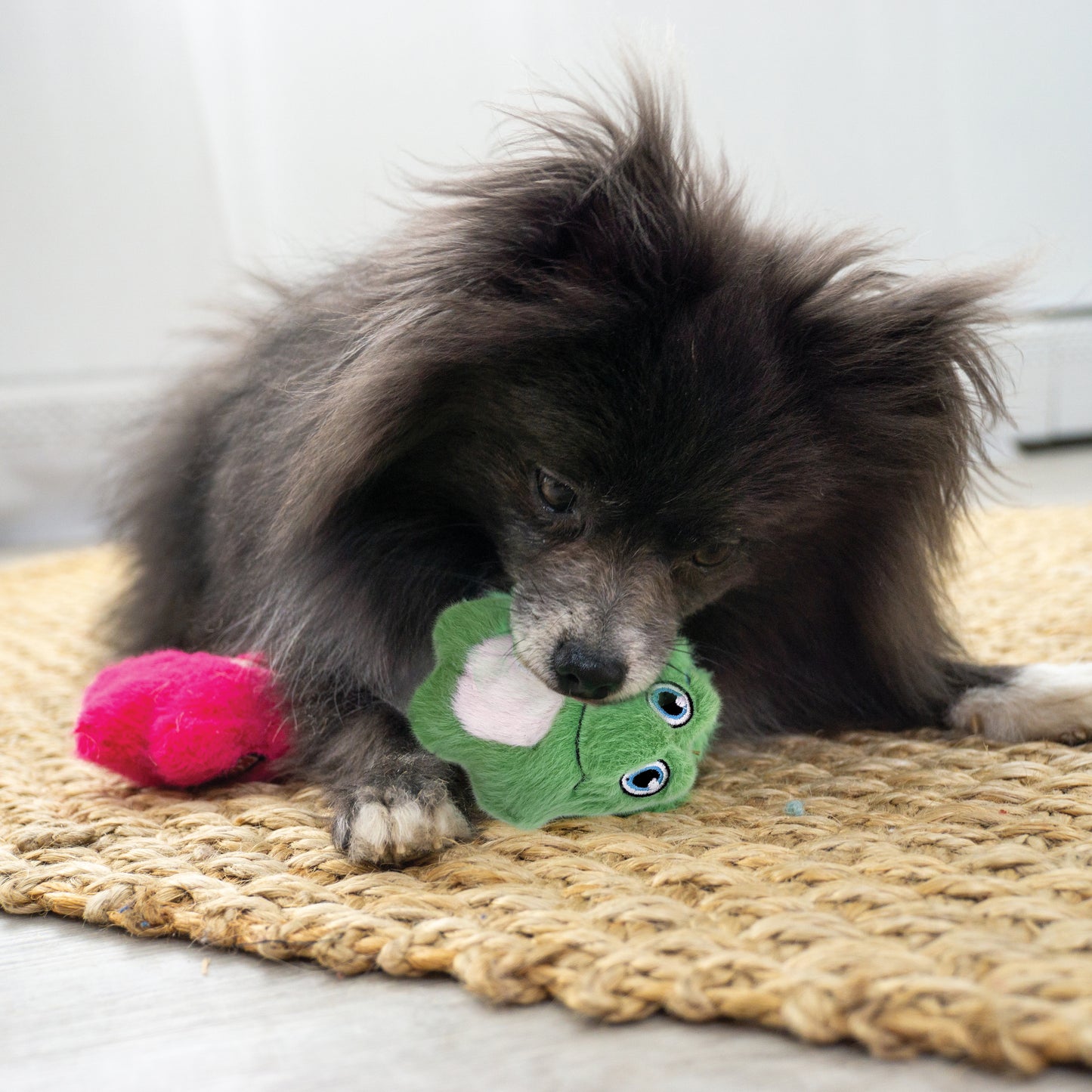 KONG Snuzzles Mini Frog X Small