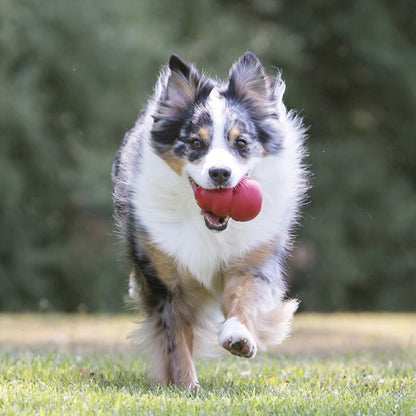 KONG Classic Dog Toy Large