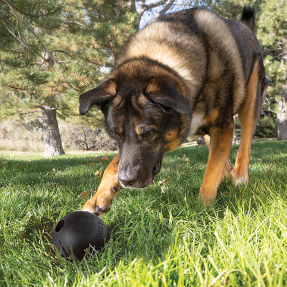 KONG Extreme Ball Large Black 27-41kg