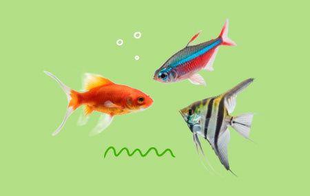 Aquatic