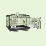 Cages & Carriers