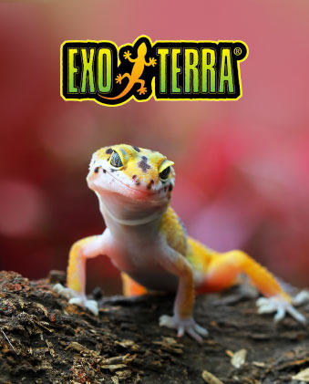 Exo Terra