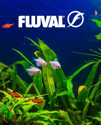 Fluval