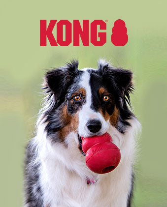 Kong