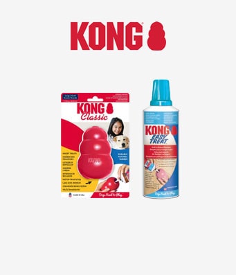 Kong