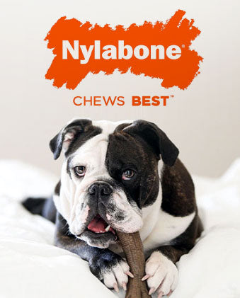 Nylabone