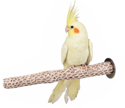 Adventure Bound Cactus Perch Small