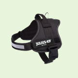 Collars & Harnesses