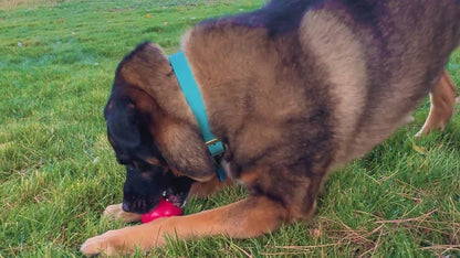 KONG Ball Large Red Extreme Bounce 27-41kg