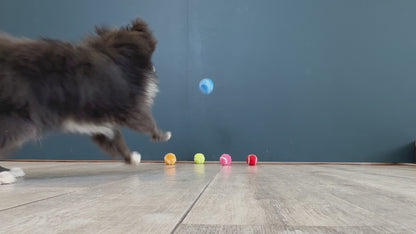 KONG Air Dog Sports Softie Balls Small 2" 3pcs