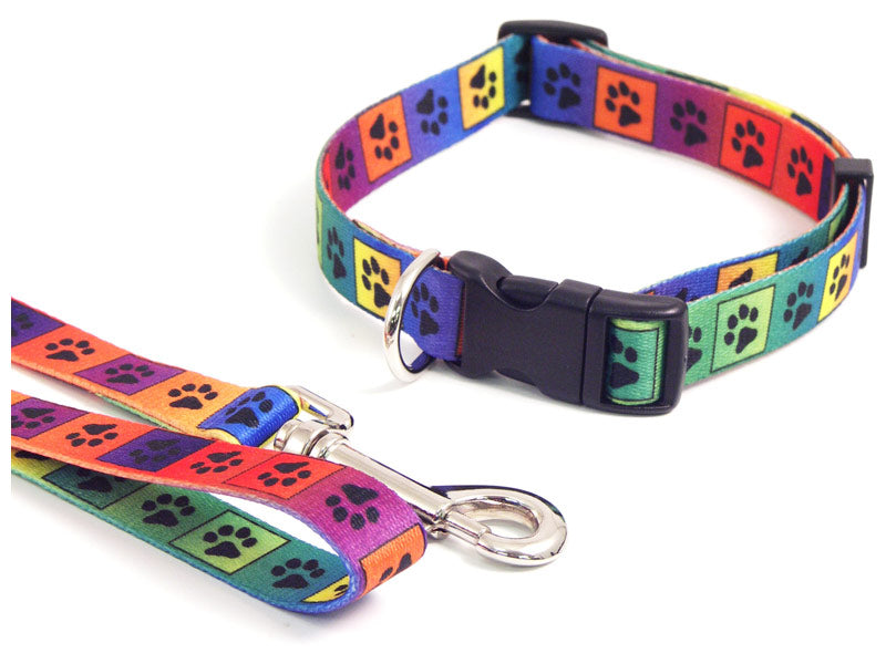 Rosewood Puppy Collar & Lead Set Multi Print