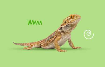 Reptile