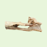 Furnishings & Decorations