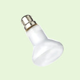 Lighting & Accessories